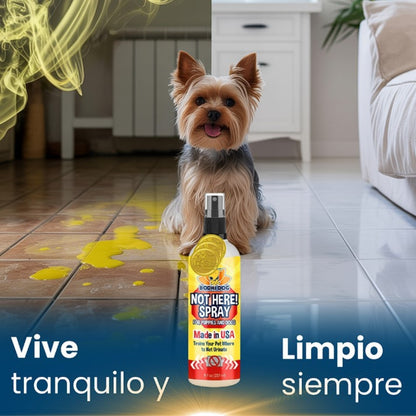 Not Here Spray - Dile adiós a los accidentes peludos