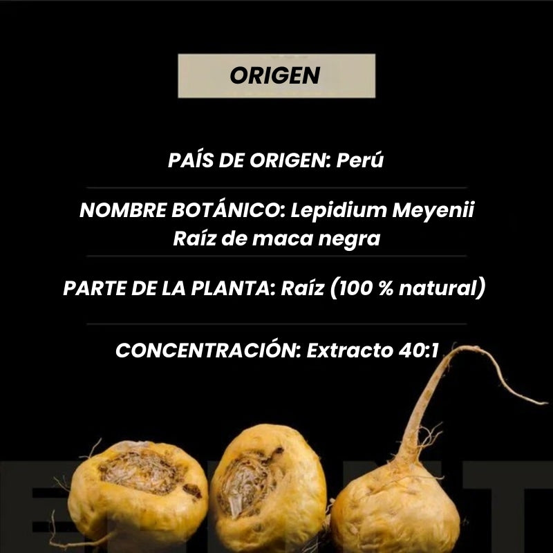 Capsulas de Raíz de maca negra orgánica