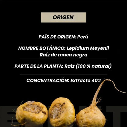 Capsulas de Raíz de maca negra orgánica