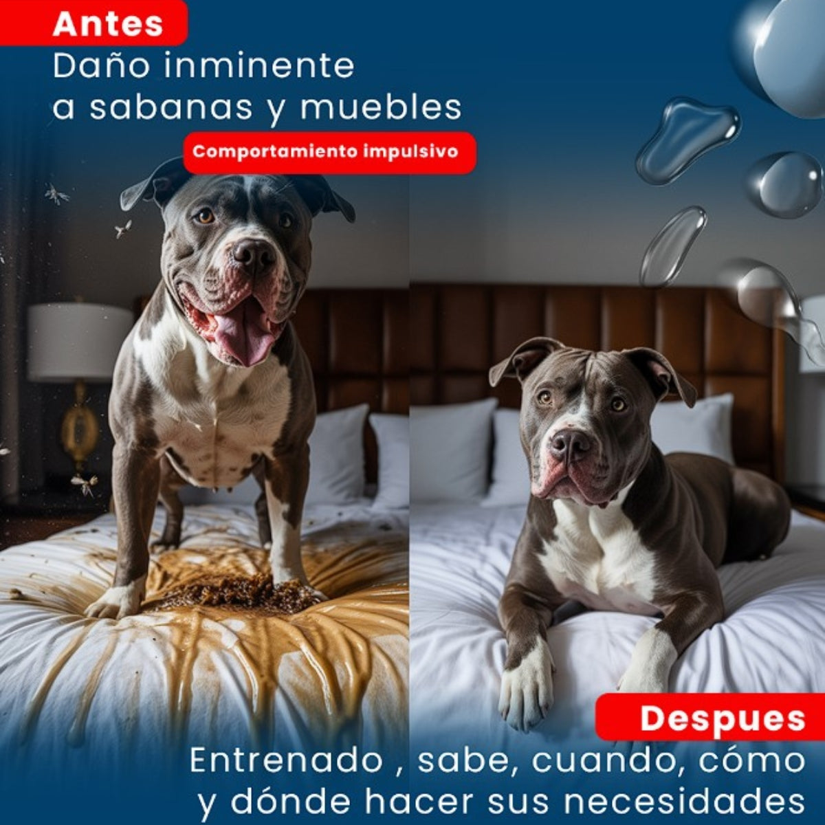 Not Here Spray - Dile adiós a los accidentes peludos