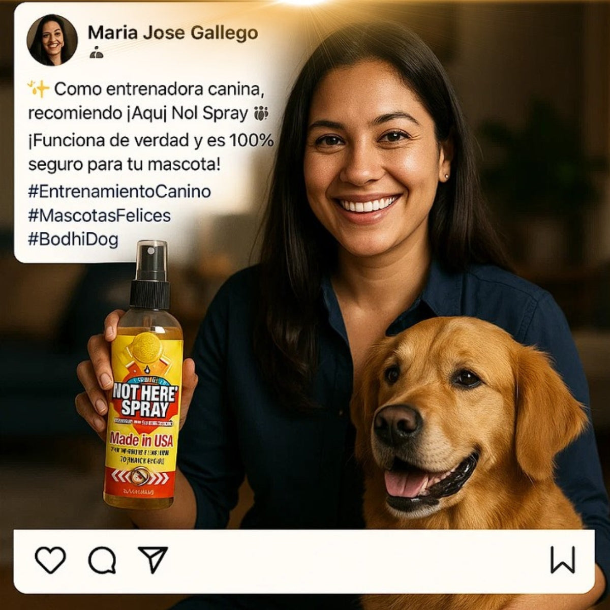 Not Here Spray - Dile adiós a los accidentes peludos