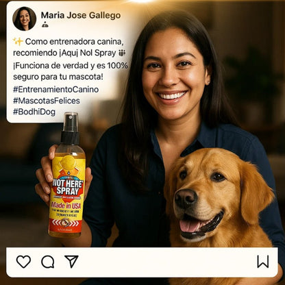 Not Here Spray - Dile adiós a los accidentes peludos