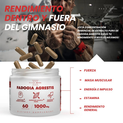 Fadogia Agrestis - Suplemento Natural Activa tu mejor versión