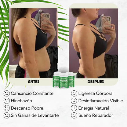 Rosabella Moringa™ - Recupera tu Vitalidad - OFERTA 2X1.